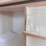 بيت شباب Cats *