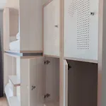بيت شباب Cats