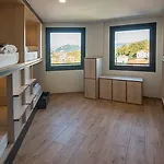 Cats سان سيباستيان