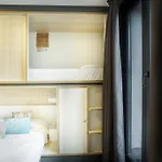 Cats Hostel *