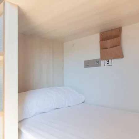 Cats Saint-Sébastien