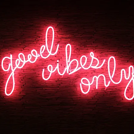 Auberge de jeunesse Cats *