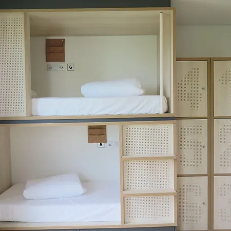 Cats Auberge de jeunesse Saint-Sébastien