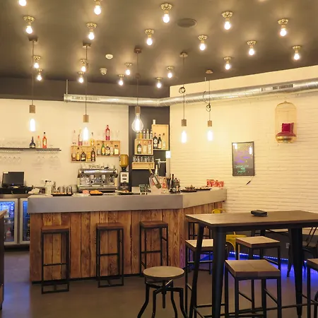 Cats * Saint-Sébastien