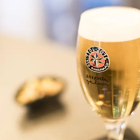 Cats Auberge de jeunesse *