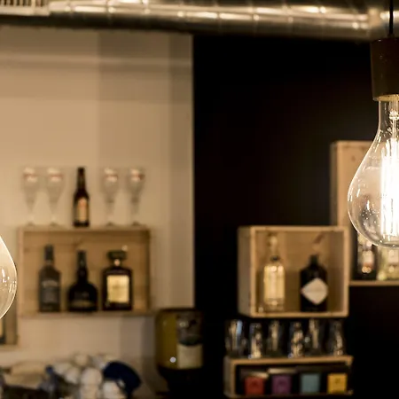 Cats Auberge de jeunesse Saint-Sébastien