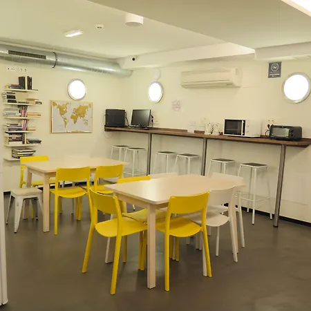 Cats Auberge de jeunesse