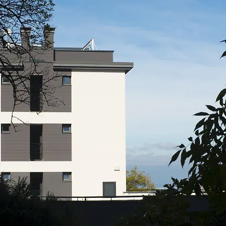 Cats * Saint-Sébastien