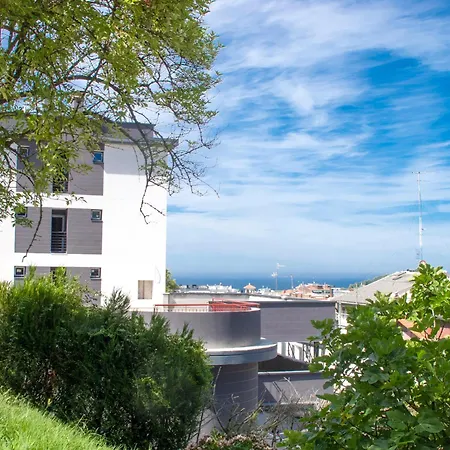 Cats Auberge de jeunesse