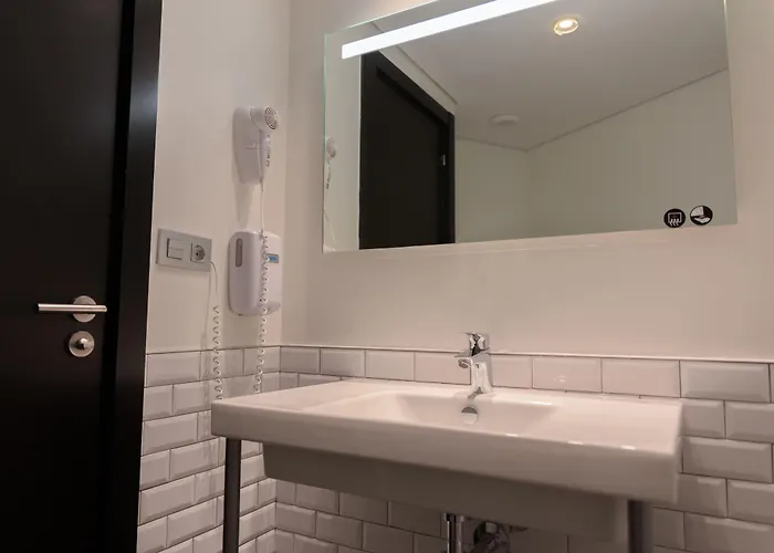 Cats 산세바스티안