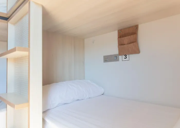 Cats 산세바스티안