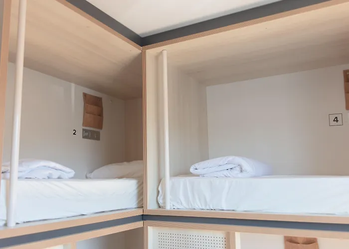 Cats Hostel San Sebastian