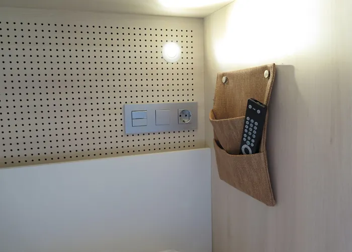 Cats 산세바스티안