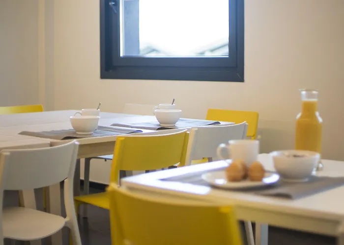 Cats 호스텔 산세바스티안