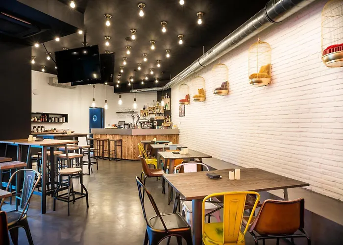 Cats Hostel San Sebastian