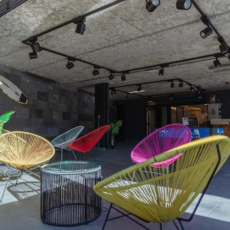 Cats * San Sebastián