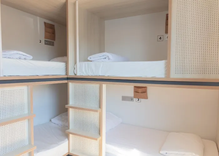 Cats Hostel San Sebastián