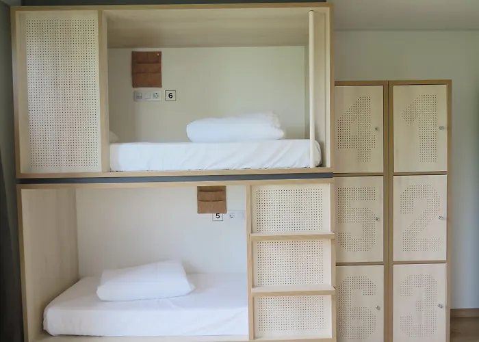 Cats Hostel San Sebastián