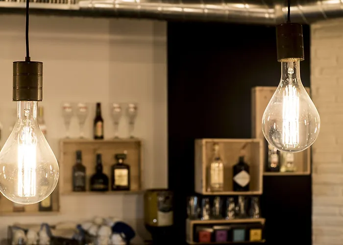 Cats Ostello San Sebastián