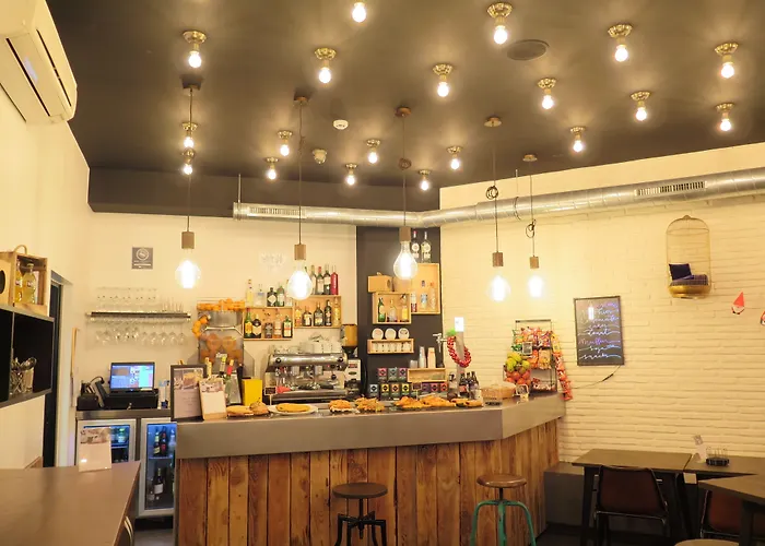 Cats * San Sebastián