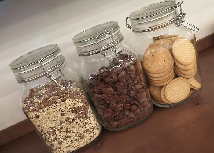 Cats * San Sebastián