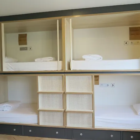 Cats Hostel San Sebastián