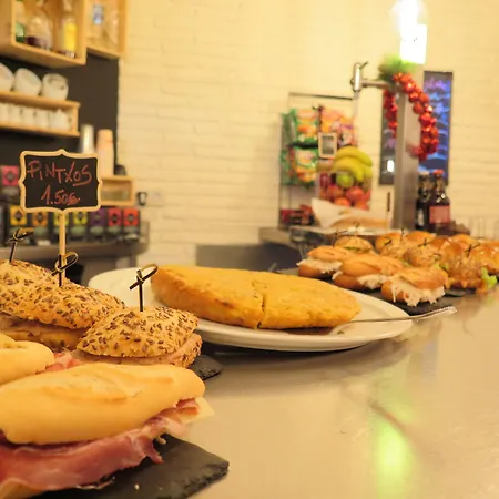 Cats * San Sebastián